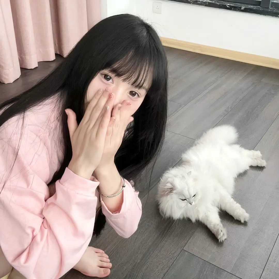 疯狂的飞机